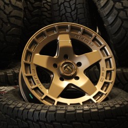 FUEL D735 WARP